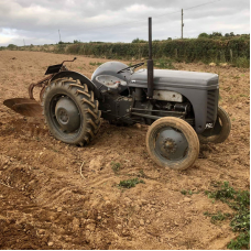 1952 Ferguson Ted 20 Restoration