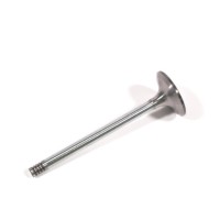 Inlet Valves Inlet Valves