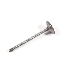 Inlet Valves Inlet Valves