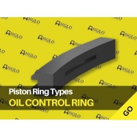 Piston Ring Types - Oil Control Ring