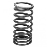 Valve Springs - Inner