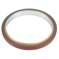 Rear Seal
