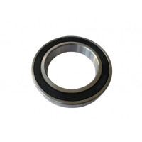 Deep Groove Ball Bearing (60132RS0)