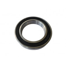 Deep Groove Ball Bearing (60132RS0)