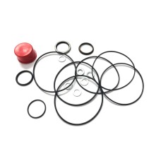 Steering Motor - Seal Kit