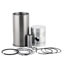 Piston & Liner Kit