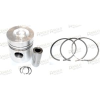 Piston & Rings