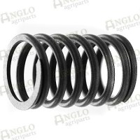 Valve Springs - Pack of 6