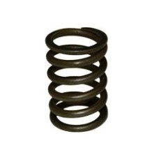 Valve Spring