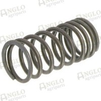 Valve Springs - Inner