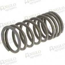 Valve Springs - Inner - Pack of 10