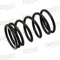 Valve Springs - Outer 