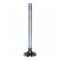 Exhaust Valves - + 0.003" Oversize 