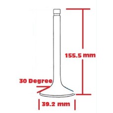 Exhaust Valves 