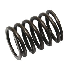 Valve Spring