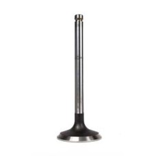 Inlet Valves 