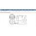 Piston & Pin - .020 Oversize