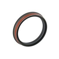 Crankshaft Lip Seal - Rear