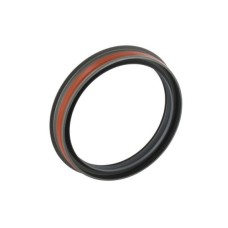 Crankshaft Lip Seal - Rear