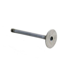 Inlet Valves 
