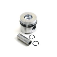 Piston & Ring Kit