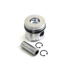 Piston & Ring Kit