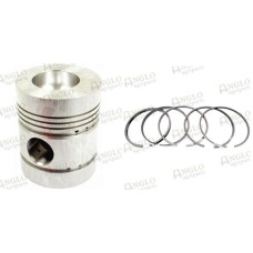 Piston & Ring - 4 Ring