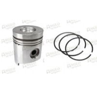 Piston & Ring Kit