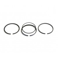 Piston Ring