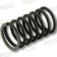 Inner Valve Springs - Pack of 6