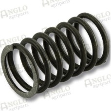Inner Valve Springs 