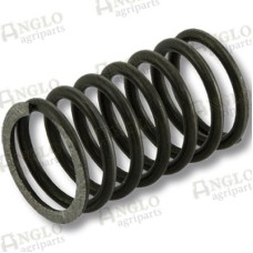 Inner Valve Springs - Pack of 6