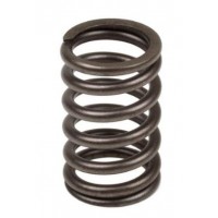 Valve Springs - Pack of 6