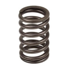 Valve Springs - Pack of 6