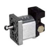 Hydraulic Pump