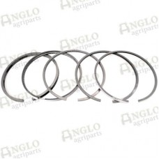 Piston Ring Set