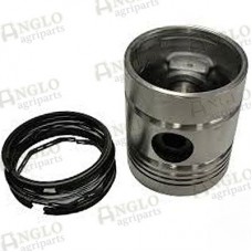 Piston & Rings