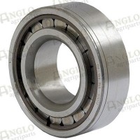 Differential Pinion Bearing