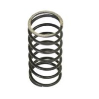 Inner Valve Springs - Pack of 2