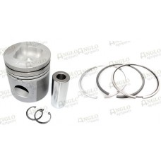 Piston & Rings - 3 Ring