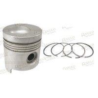 Piston & Rings