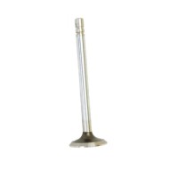 Exhaust Valves 