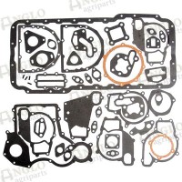 Gasket - Bottom Set