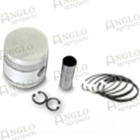 Piston & Rings - A4.248 Engine, 4 Ring