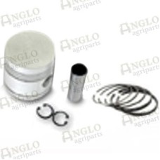 Piston & Rings - A4.248 Engine, 4 Ring