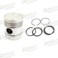 Piston & Rings