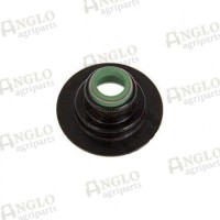 Valve - Inlet Seals 