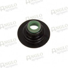 Valve - Inlet Seals 