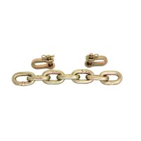 Check Chain Assembly - Inner