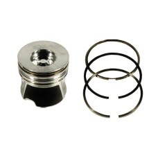 Piston & Ring Kit